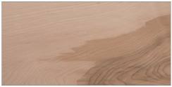 Brown Maple