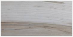 Wormy Maple