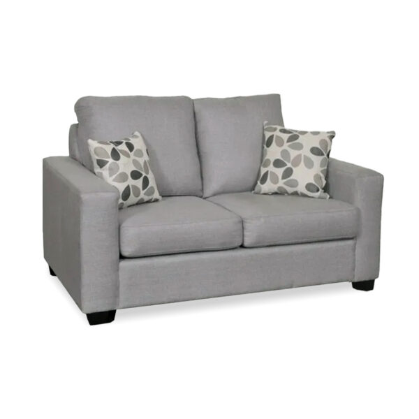 Modern Loveseat | Custom Sofa Bed 00-01